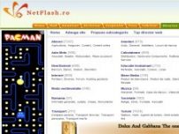 Netflash, Director web gratuit - director.netflash.ro