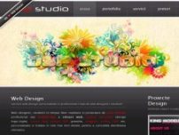 Web Design Bucuresti | studenti in timp-ul liber realizam, webdesign, optimizare site motoare cautar - www.dsp-studio.ro