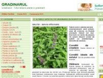 Gradinarul - Totul despre plante gradinarit - gradinarul.blogspot.com