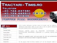 Trolii auto electrice 12/24V - www.tractari-timis.ro