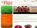 Flori, Flori Online, Livrari Flori, magazinul de flori.ro, Torturi in Bucuresti, Flori onloine - www.magazinuldeflori.ro