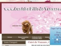 Rasa Caniche Pitic, Pudel, Poodle de Vanzare - www.caniche-pitic-de-vanzare.com