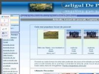 Carligul de platina - www.carligul.ro