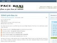 Cum sa faci bani pe net - www.faci-bani.net