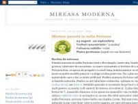 Mireasa Moderna - mireasamoderna.blogspot.com