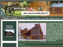 Case din lemn masiv, cabane, case pe structura de lemn - www.molidan.ro