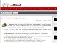 Servicii web design | Optimizare | Freelancer - netwizard.com.ro