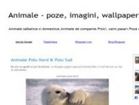 Poze Imagini Wallpapere cu Animale - pozecuanimale.blogspot.com