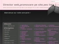 Director web, promovare pe site, seo lista - www.pusbine.info