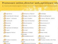 Promovare online, optimizare site, director web - www.ramaipetop.info