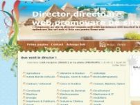 Director, directoare web, promovare site - www.raspunsweb.info