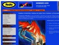Seminee Axis, seminee lemn, seminee dubla combustie importator FEDO SRL - www.seminee-axis.ro