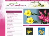 Teo flower bulbs - www.teoflowerbulbs.ro