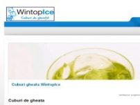 Cuburi de gheata Wintop Ice - www.wintopice.ro
