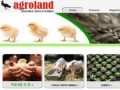 Pui de o zi, pui de carne, curca, gasca, rata, furajuri, nutreturi, concentrate - www.agroland.ro
