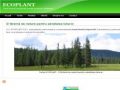 Ecoplant Cluj - www.ecoplantcluj.ro