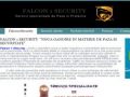 Falcon 1 Security - Falcon1Security - falcon1security.webs.com