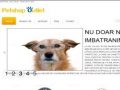 Pet Shop Online - www.petshop-outlet.ro