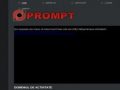 PROMPT SA: Productie poduri rulante, macarale, utilaje de ridicat - www.prompt-sa.ro