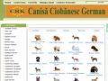 Vanzari caini - cumparari caini - ciobanesc german - ciobanesc caucazian - ciobanesc carpatin - www.romanian-dogs.com
