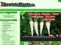 SemintePlante - Magazin virtual de seminte de legume si flori - www.seminteplante.ro